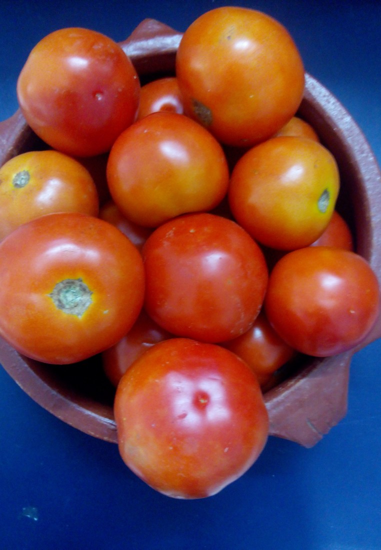 Tomato (Country) (நாட்டுத் தக்காளி)